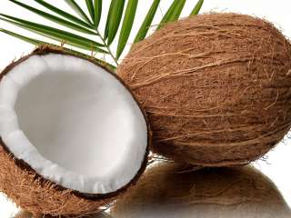 coconut_2