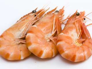 shrimp_016_2